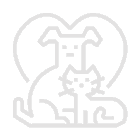 Clinica Veterinária