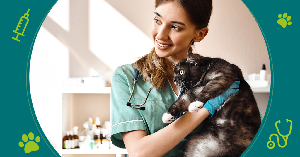 5 motivos para levar o Pet ao Veterinário